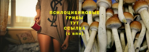 наркотики Белокуриха