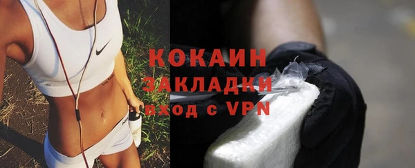 тгк Дмитров