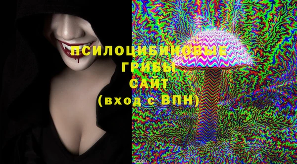 прущие грибы Дмитриев