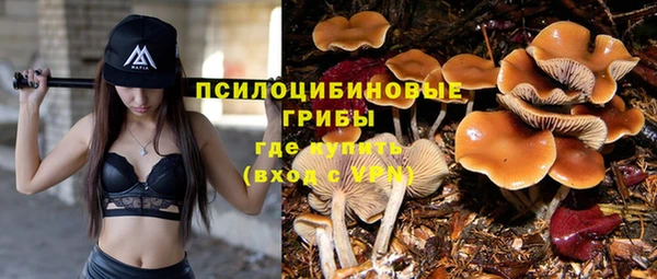 трава Киреевск