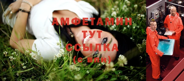 сатива Киренск