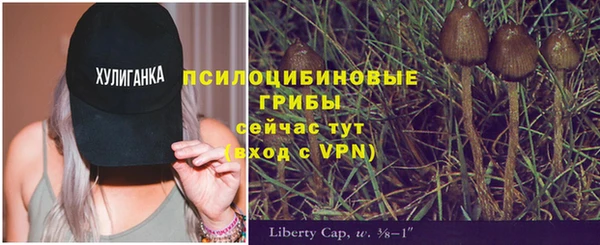 наркотики Белокуриха